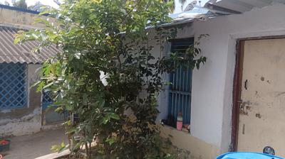 Balcony Image of 1500 Sq.ft 3 BHK Villa for sale in Palayamkottai Tirunelveli for Rs. 7500000