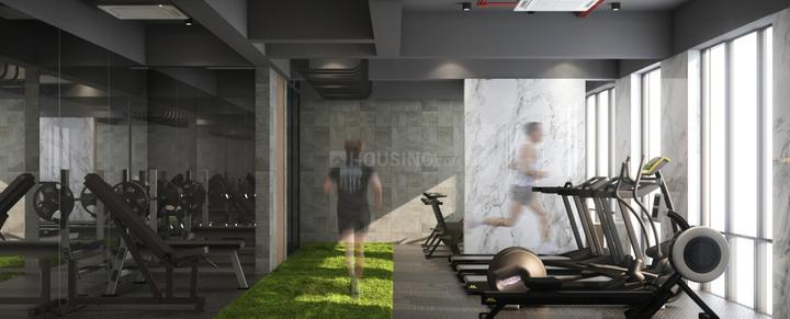 Arkade Rare Main Image 1