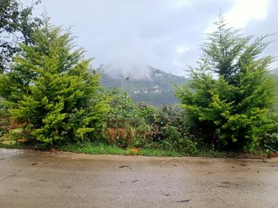 Image of 12500 Sq.ft Residential Plot / Land for sale in Vilpatti, Kodaikanal for Rs. 8100000