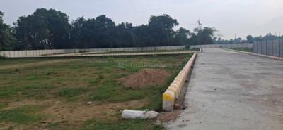 Image of 1125 Sq.ft Residential Plot / Land for sale in Bakshi Ka Talab, Lucknow for Rs. 1575000