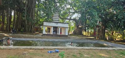 Bihta Plot View 4