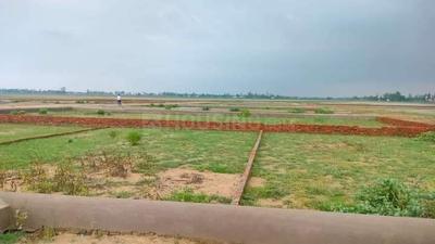 Image of 1250 Sq.ft Residential Plot / Land for sale in Maniram, Gorakhpur for Rs. 1278500