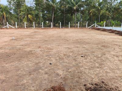 Global garden kovilpalayam Plot View 3
