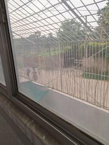 Balcony Image of 2160 Sq.ft 7 BHK Independent House for sale in Sector 21 Gurgaon for Rs. 58000000