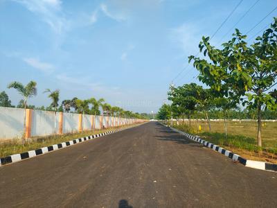 Paravada Plot View 1