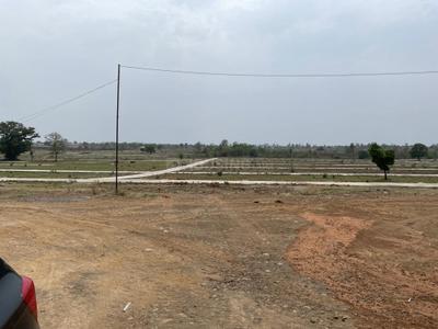 Phanda Kala Plot View 2