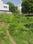 STAR NAGAR Main Image 1