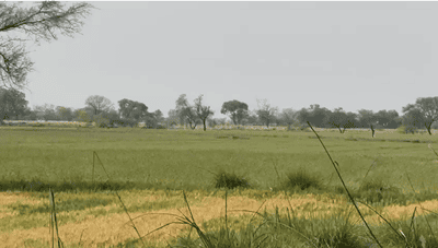 Image of 1350 Sq.ft Residential Plot / Land for sale in Radha Kund Road, Vrindavan for Rs. 7650000