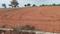 Annur Plot View 2