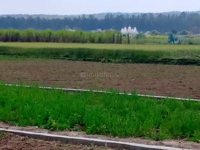 Anand vihar  Plot View 2