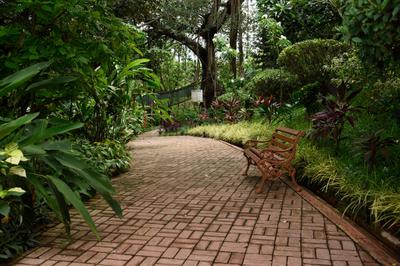 Image of 1700 Sq.ft 2 BHK Apartment / Flat for rent in Aldeia De Goa, Goa for Rs. 100000