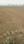 Bihta Main Image 1