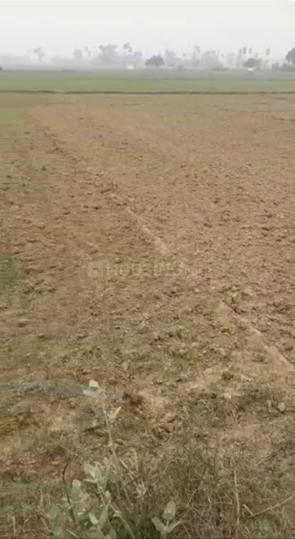 Bihta Main Image 1
