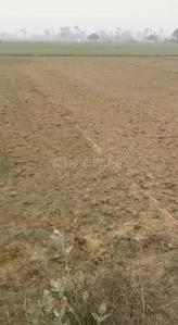 Image of 2000 Sq.ft Residential Plot / Land for sale in Bihta, Patna for Rs. 1800000