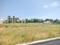 Spring wood layout Plot View 1