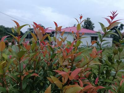 Image of 720 Sq.ft Residential Plot / Land for sale in Shiv Mandir Rd, Siliguri for Rs. 1700000