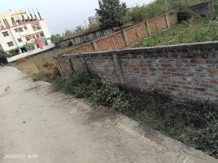 Shri Krishna Puram, Danapur Plot View 1