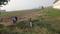 Mahuli Main Image 1
