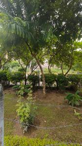 Image of 1055 Sq.ft 2 BHK Apartment / Flat for rent in Transport Nagar, Lucknow for Rs. 14500