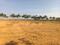 Adibatla Plot View 1