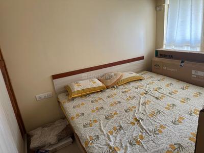 Bedroom Image of 1080 Sq.ft 2 BHK Apartment / Flat for rent in Adani The Meadows, Shantigram Ahmedabad for Rs. 35000