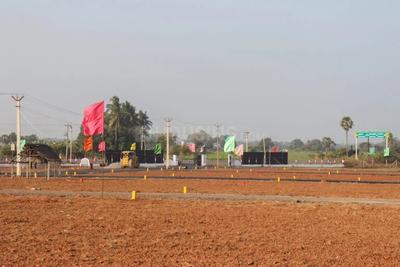 Residential Plot