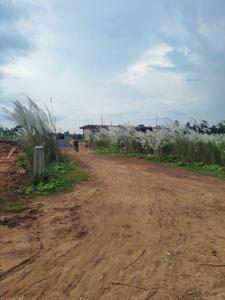 Image of 2614 Sq.ft Residential Plot / Land for sale in Pipili, Puri for Rs. 3400000