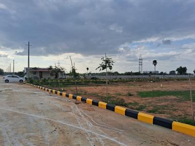 Janaharsha gloden leaf Plot View 3