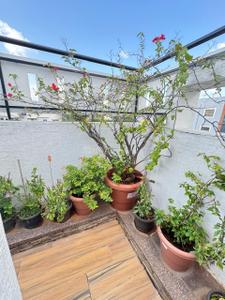 Balcony Image of 2100 Sq.ft 3 BHK Penthouse for sale in Dreamz Samavesh, Lingarajapuram Bengaluru for Rs. 18000000