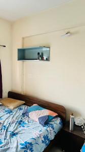 Bedroom Image of 750 Sq.ft 2 BHK Apartment / Flat for rent in Kumar Primavera B6, Wadgaon Sheri Pune for Rs. 36000
