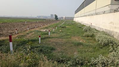 Image of 1201 Sq.ft Residential Plot / Land for sale in Mahuli, Patna for Rs. 4200000
