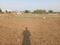 Shree Siddhivinayak Meera Plot View 2