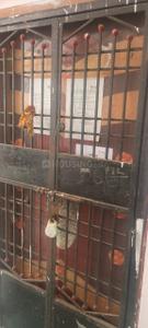 Balcony Image of 250 Sq.ft 1 BHK Apartment / Flat for sale in Ankleshwar GIDC Ankleshwar for Rs. 480000