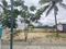 Padmeshwari Nagar, Kithaganur Colony Plot View 2
