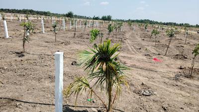 Image of 9600 Sq.ft Residential Plot / Land for sale in Chengalpattu, Chennai for Rs. 2400000