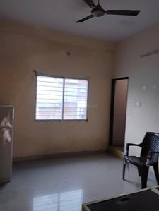 Hall Image of 850 Sq.ft 2 BHK Apartment / Flat for rent in Khatiwala Tank Indore for Rs. 15000