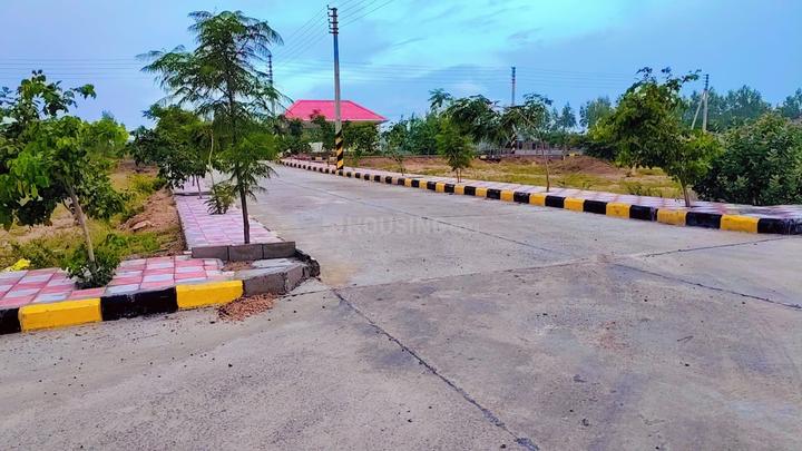 Indo Orr East Organica Main Image 1