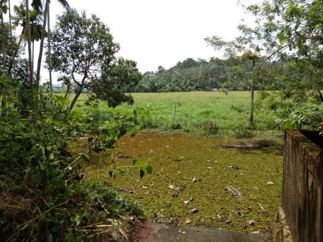 Shree bunglow Main Image 1