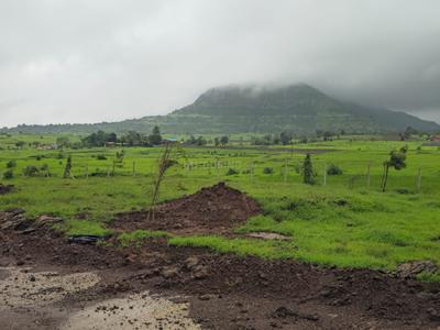 Image of 10000 Sq.ft Residential Plot / Land for sale in Trimbak, Nashik for Rs. 1810000