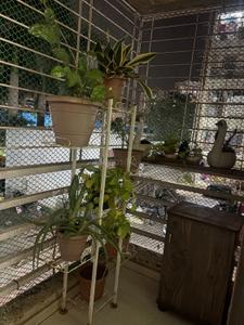 Balcony Image of Sheetal complex in Mira Road East, Mira Bhayandar