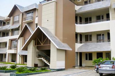 Image of 2560 Sq.ft 4 BHK Penthouse for rent in Millennium The Green County, Chohak Kallan Village, Jalandhar for Rs. 45000