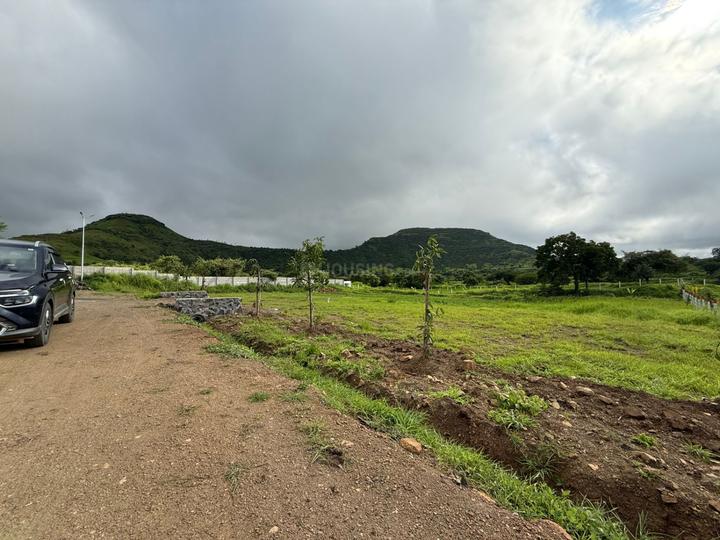 Pimplad Trimbak Main Image 1