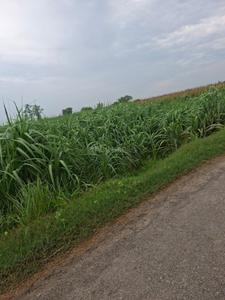 Image of 1500 Sq.ft Residential Plot / Land for sale in Garh Mukteshwar, Hapur for Rs. 5000000