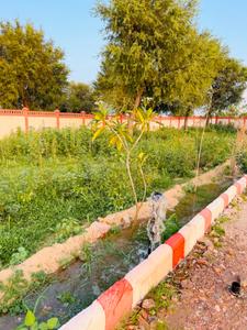 Image of 2450 Sq.ft Residential Plot / Land for sale in Agarpura, Jaipur for Rs. 1155813