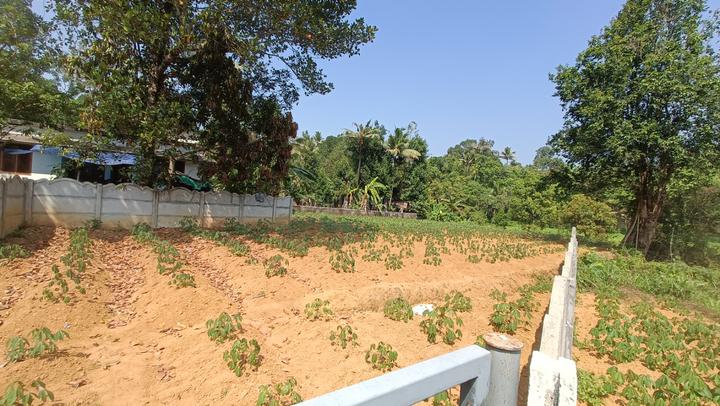 Kakkanad Main Image 1