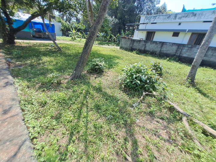 Udyogamandal, Eloor Main Image 1