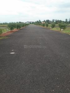 Image of 1350 Sq.ft Residential Plot / Land for sale in NMR NMR Sai Chandana Gardens, Pedaogirala, Krishna for Rs. 1875000