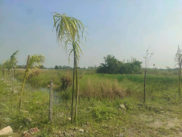 Metroplex City Main Image 1