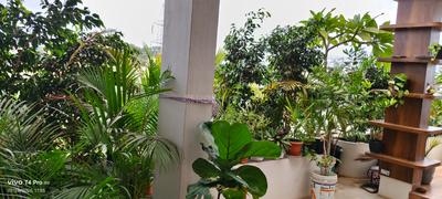 Balcony Image of 5300 Sq.ft 7 BHK Independent House for sale in Vaderahalli, Bengaluru North Bengaluru for Rs. 27000000