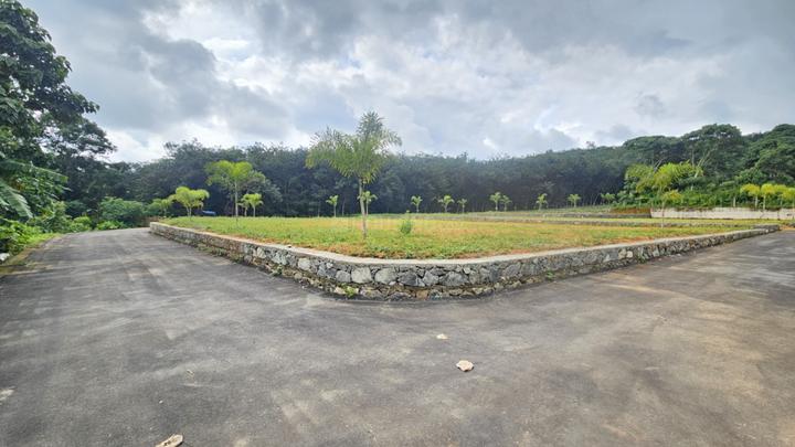 Thrippunithura Main Image 1